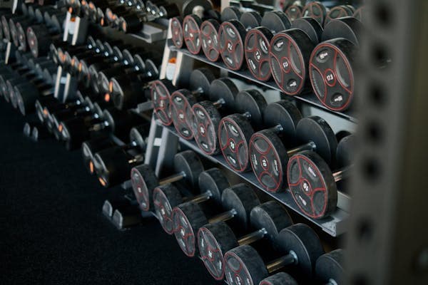 Hadesring Adjustable Bench